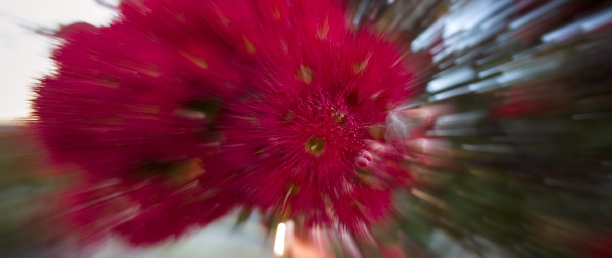 Essay: The Boys Made the Pastry