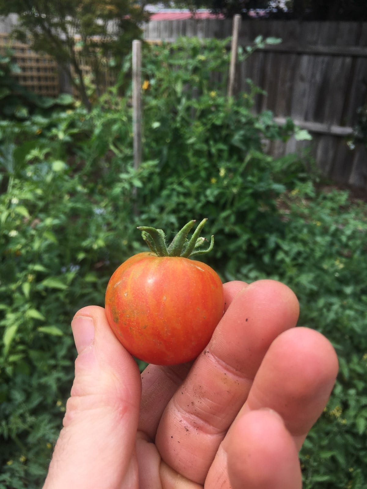 Dispatch: Seventy Four Posts, then Zero