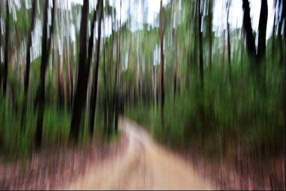 Essay: Seventy-Four Posts